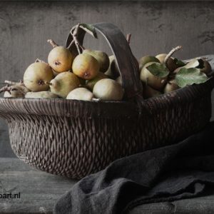 spatscherm peren